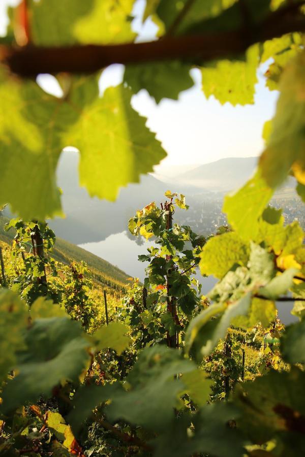 Wein Und Gaestehaus Huels Kröv المظهر الخارجي الصورة